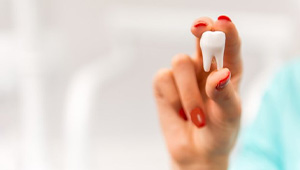 Hand holding up an extracted wisdom tooth